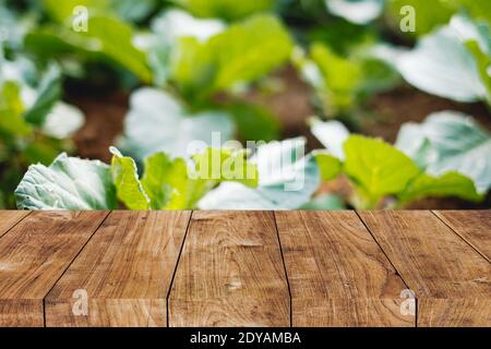 Flou maison plante de jardin de légumes à l'arrière-cour avec plan d'examen en bois espace de premier plan pour un fond publicitaire naturel Banque D'Images