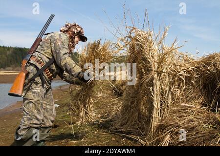 chasseur de canards avec un fusil de chasse faisant un aveugle de chasse roseaux sur le lac Banque D'Images