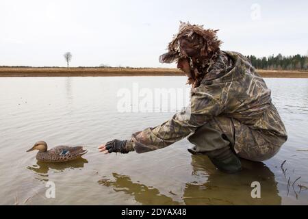 waterfowler place un leurre de canard en plastique dans l'eau peu profonde avant la chasse Banque D'Images