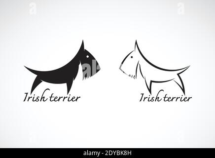 Vecteur de chien terrier irlandais esign sur fond blanc. Symbole. Animaux. Icône chien. Illustration vectorielle superposée facile à modifier. animaux domestiques. Illustration de Vecteur