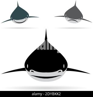 Illustration vectorielle du requin sur fond blanc. Illustration vectorielle superposée facile à modifier. Animaux sauvages. Illustration de Vecteur