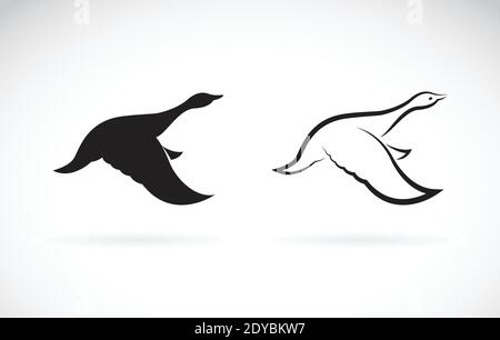 Image vectorielle d'un canard sauvage volant sur fond blanc. Illustration vectorielle superposée facile à modifier. Animaux sauvages. Oiseaux. Illustration de Vecteur