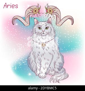 Zodiaque. Illustration vectorielle du signe astrologique de Bélier comme Laperm de race de chat assis. Élément d'horoscope astrologique. Art de concept d'astrologie Illustration de Vecteur