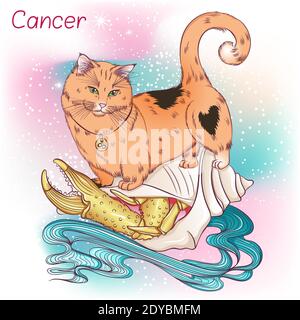 Chat De Race De Munchkin Ou De Saucisse Image Vectorielle Stock Alamy