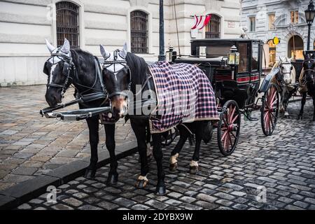 Fiaker Hackney Carriage sur la place Saint Michael à Vienne, Autriche, lors d'une froide journée d'hiver Banque D'Images