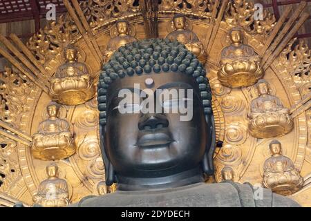 Japon Nara détail de la plus grande statue de bronze du Bouddha Vairocana dans le Grand Buddha Hall (Daibutsuden) au complexe du Temple Todaiji. Banque D'Images