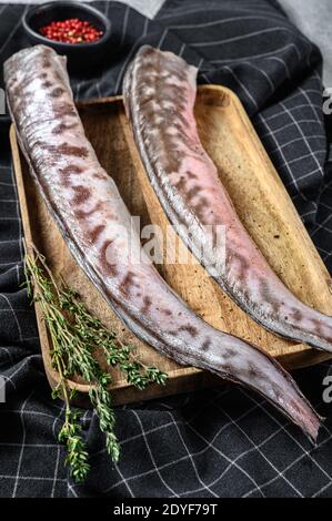 Klip cru, poisson congrio avec ingrédients de cuisine. Fond gris. Vue de dessus Banque D'Images