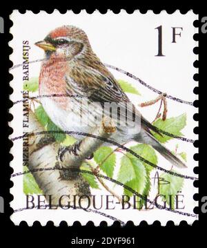 MOSCOU, RUSSIE - le 22 FÉVRIER 2019 : un timbre imprimé en Belgique montre le Redpoll commun (Carduelis flammea), série oiseaux de Buzin, vers 1995 Banque D'Images