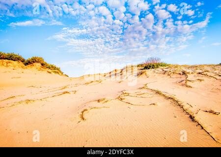 Dunes de sable le long de Mungo Brush Rd dans Myall Lakes National Stationnement Banque D'Images