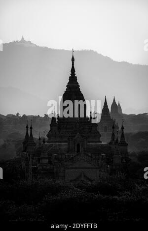 Silhouettes des temples à Bagan, Myanmar Banque D'Images