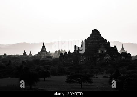 Silhouettes des temples à Bagan, Myanmar Banque D'Images