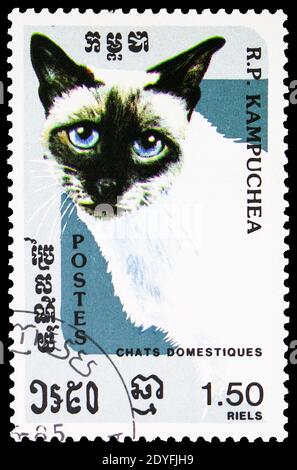 MOSCOU, RUSSIE - 25 MAI 2019: Timbre-poste imprimé à Kampuchea (Cambodge) montre Seal-point Siam (Felis silvestris catus), série de chats domestiques, circ Banque D'Images