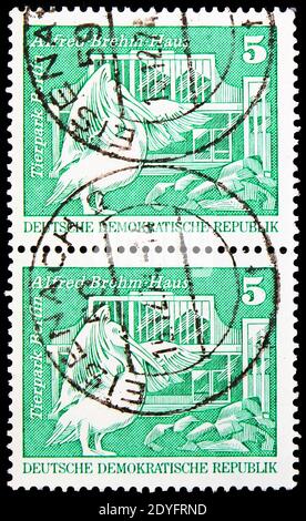 MOSCOU, RUSSIE - 19 JUIN 2019 : deux timbres-poste imprimés en Allemagne, République démocratique, montre Rosy Pelican (Pelecanus onocrotalus); Alfred-Brehm-H. Banque D'Images