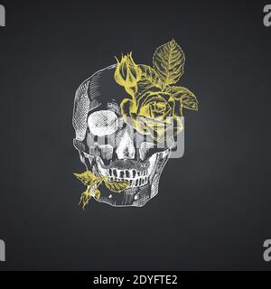 Dessinez à la main le crâne humain avec une couronne de fleurs. Roses jaunes personnage drôle Chalk graphique gravure art isolé sur fond de tableau noir Illustration de Vecteur