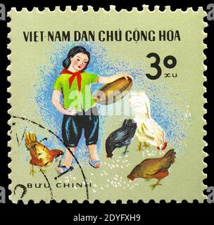 MOSCOU, RUSSIE - 19 JUILLET 2019 : le timbre-poste imprimé au Vietnam montre l'alimentation des poulets, série d'activités pour enfants, vers 1970 Banque D'Images