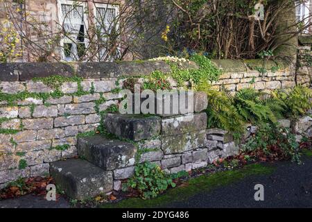 Vieux pas de montage de cheval en pierre dans le village Peak District de Hartington, Derbyshire Banque D'Images