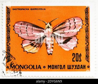 MOSCOU, RUSSIE - 4 AOÛT 2019: Timbre-poste imprimé en Mongolie montre Lappet (Gastropacha quercifolia), Butterflies série, vers 1977 Banque D'Images