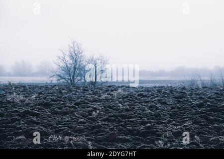 Matin glacial dans la campagne avec champ de charrue frais et arbres dans la distance Banque D'Images