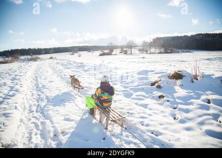 Chien tirant l'enfant sur un traîneau lors d'une journée d'hiver ensoleillée, plaisir de neige Banque D'Images