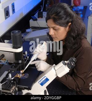 Lab-on-a-chip ; micro-ondes Banque D'Images