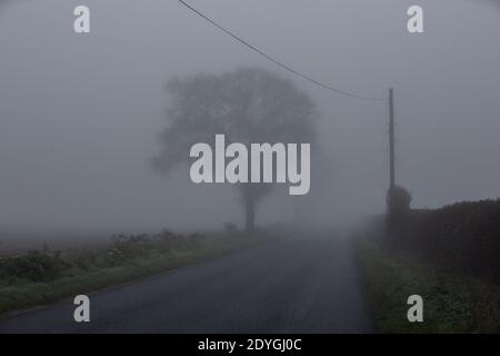 La brume hivernale se trouve à travers l'horizon bas dans le Suffolk, dans un matin froid de décembre, en Angleterre, au Royaume-Uni Banque D'Images