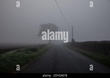 La brume hivernale se trouve à travers l'horizon bas dans le Suffolk, dans un matin froid de décembre, en Angleterre, au Royaume-Uni Banque D'Images