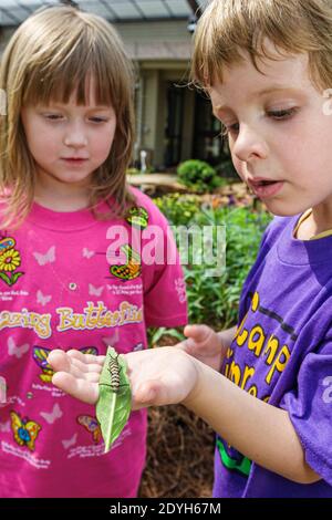 Huntsville Alabama, jardin botanique Butterfly House, enfant enfants garçon fille recherche tenant caterpillar, Banque D'Images