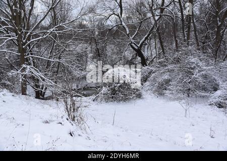 Walking in a Winter Wonderland Banque D'Images