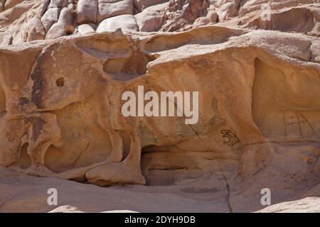 La formation naturelle de roche de 'Golden Calf' ressemble au monastère de St Catherine de veau, Sinaï, Égypte Fév 2009 Banque D'Images