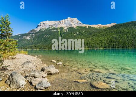 Emerald Lake en été jour ensoleillé avec Wapta Mountain en arrière-plan. Parc national Yoho, Rocheuses canadiennes, Colombie-Britannique, Canada. Banque D'Images