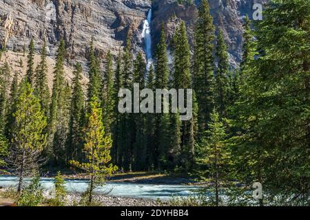 Chute d'eau de Takakkaw Falls et rivière Yoho pendant une journée ensoleillée d'été. Paysage naturel paysage dans le parc national Yoho, Rocheuses canadiennes, Colombie-Britannique Banque D'Images