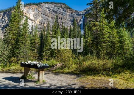 Sentier Iceline de Takakkaw Falls, parc national Yoho, Rocheuses canadiennes, Colombie-Britannique, Canada. Banque D'Images