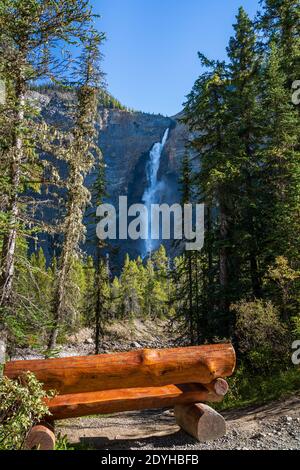 Banc en bois près de la rivière Yoho au-dessus de la chute d'eau des chutes Takakkaw par une journée ensoleillée d'été. Parc national Yoho, Rocheuses canadiennes, Colombie-Britannique, Canada. Banque D'Images