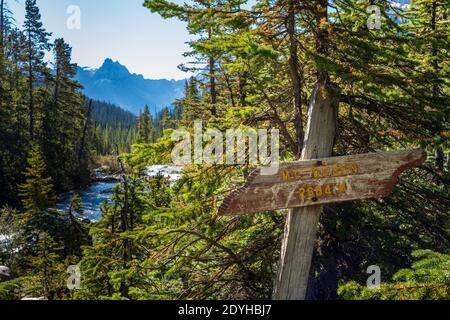 Indicateur du mont Ogden dans le sentier de la ligne de la rivière Takakkaw Falls, parc national Yoho, Rocheuses canadiennes, Colombie-Britannique, Canada. Banque D'Images