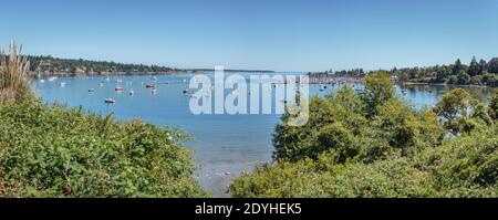 Des centaines de bateaux font partie d'une vue d'été panoramique sur Cadboro Bay, avec un club de yacht sur la droite, Ten Mile Pt. Sur la gauche et Haro Strait au loin. Banque D'Images