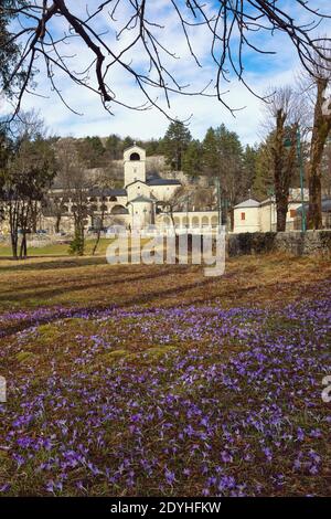 Monténégro, le jour de février dans la ville de Cetinje. Vue sur l'ancien monastère de Cetinje ( monastère de l'église orthodoxe serbe ) Banque D'Images