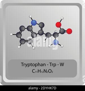 Tryptophane – TRP – W structure chimique des acides aminés. Formule moléculaire de la molécule modèle de bille et de bâton. Biochimie, médecine et enseignement des sciences. Illustration de Vecteur