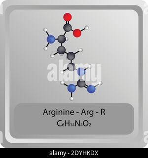 Arginine – Arg – R structure chimique des acides aminés. Formule moléculaire de la molécule modèle de bille et de bâton. Biochimie, médecine et enseignement des sciences. Illustration de Vecteur