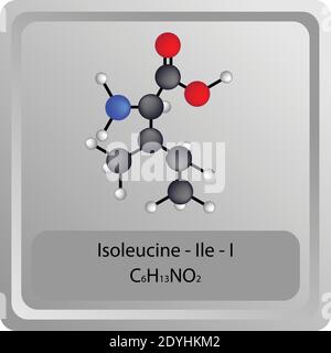 Isoleucine – Ile – I structure chimique des acides aminés. Formule moléculaire de la molécule modèle de bille et de bâton. Biochimie, médecine et enseignement des sciences. Illustration de Vecteur
