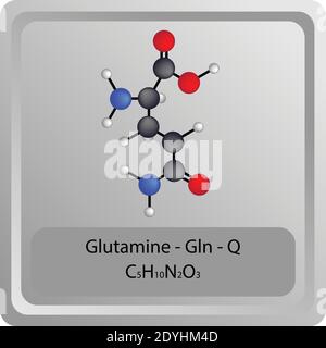 Glutamine – Gln – Q structure chimique des acides aminés. Formule moléculaire de la molécule modèle de bille et de bâton. Biochimie, médecine et enseignement des sciences. Illustration de Vecteur