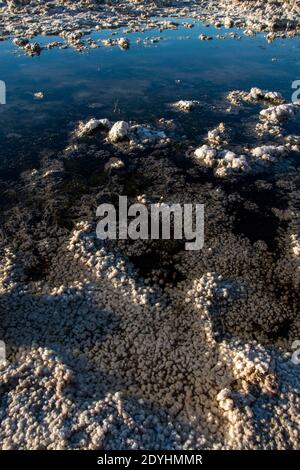 Le bassin de Badwater est un plan de sel situé dans le parc national de la Vallée de la mort et se trouve à la plus basse altitude terrestre de l'hémisphère Nord. Banque D'Images