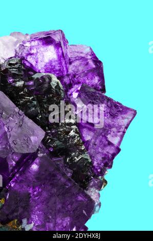 inclusion de cristaux roses violets fluorites (spath fluor) avec du cyan bleu moderne fond turquoise Banque D'Images