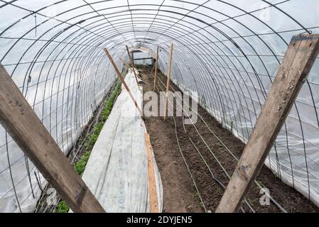 Caterpillar Hoop House sur une ferme dans la vallée de Wallowa en Oregon. Banque D'Images