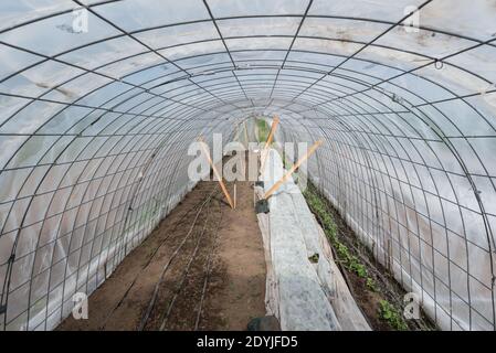 Caterpillar Hoop House sur une ferme dans la vallée de Wallowa en Oregon. Banque D'Images