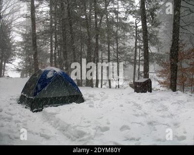 Camping tente dans les bois d'hiver pendant la tempête de neige, lac Ocquittunk, NJ Banque D'Images
