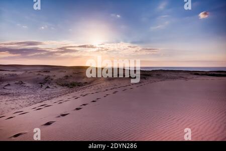 Dunes de sable le long de Mungo Brush Rd dans Myall Lakes National Stationnement Banque D'Images