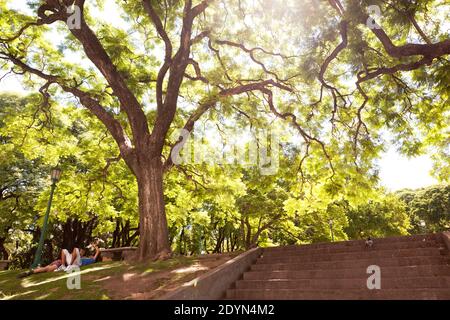 Argentine, Buenos Aires - Parc Plaza San Martin dans le district de Retiro Banque D'Images