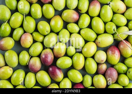 Olives vertes fraîchement cueillies. La nourriture Banque D'Images