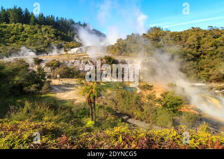 Orakei Korako, une zone géothermique et une attraction touristique en Nouvelle-Zélande Banque D'Images