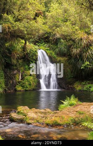 Les chutes de Whataroa, une magnifique cascade de « horsetail » trouvée au fond de la forêt d'Otanewainuku, Bay of Plenty, Nouvelle-Zélande Banque D'Images